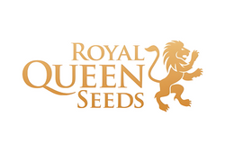 Royal Queen Seeds
